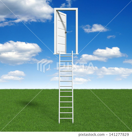 Door and ladder concept - 3D illustration Door and ladder concept - 3D illustration 141277829