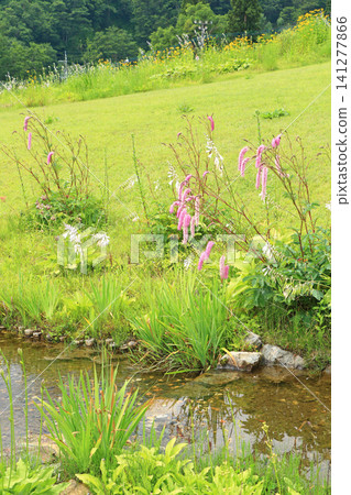Hakuba Goryu Ski Resort Summer Escal Garden Hakuba Goryu Ski Resort Summer Escal Garden 141277866