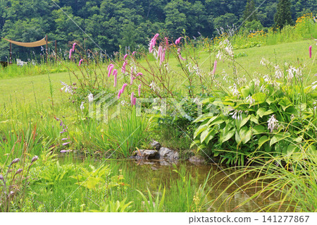 Hakuba Goryu Ski Resort Summer Escal Garden Hakuba Goryu Ski Resort Summer Escal Garden 141277867