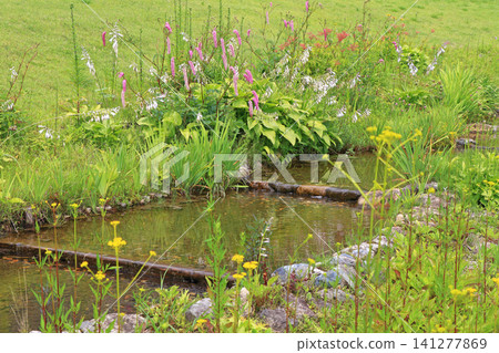Hakuba Goryu Ski Resort Summer Escal Garden Hakuba Goryu Ski Resort Summer Escal Garden 141277869