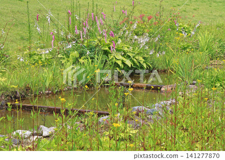 白馬五龍滑雪場夏季埃斯卡爾花園 白馬五龍滑雪場夏季埃斯卡爾花園 141277870