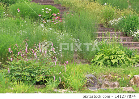 Hakuba Goryu Ski Resort Summer Escal Garden Hakuba Goryu Ski Resort Summer Escal Garden 141277874