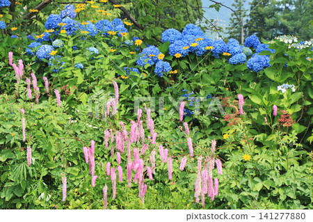Hakuba Goryu Ski Resort Summer Escal Garden Hakuba Goryu Ski Resort Summer Escal Garden 141277880