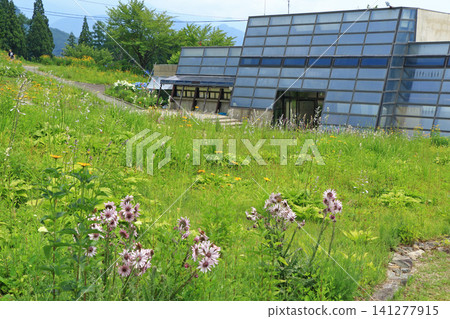 Hakuba Goryu Ski Resort Summer Escal Garden Hakuba Goryu Ski Resort Summer Escal Garden 141277915