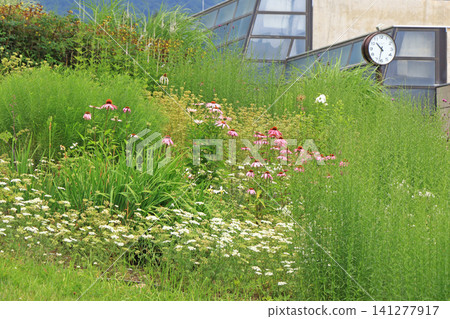 Hakuba Goryu Ski Resort Summer Escal Garden Hakuba Goryu Ski Resort Summer Escal Garden 141277917