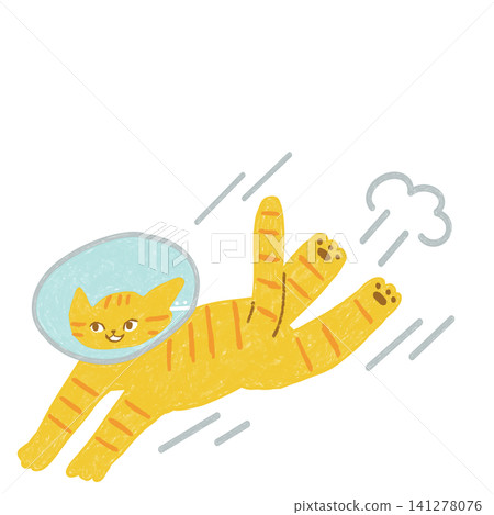 A tabby cat running while wearing an Elizabethan collar A tabby cat running while wearing an Elizabethan collar 141278076