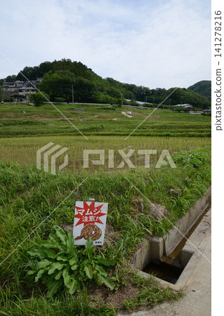 一個牌子上寫著「小心毒蛇!」(寺坂梯田/秩父郡橫瀨町橫瀨) 一個牌子上寫著「小心毒蛇!」(寺坂梯田/秩父郡橫瀨町橫瀨) 141278216