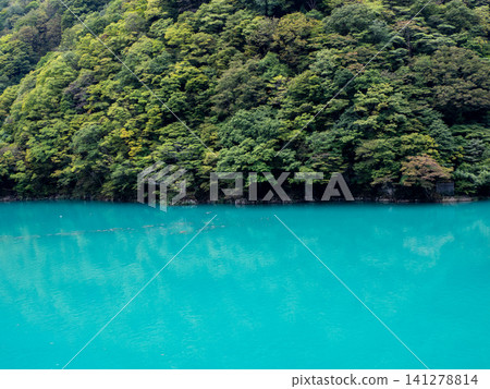 The turquoise blue Kurobe River and the green trees on the opposite bank. The turquoise blue Kurobe River and the green trees on the opposite bank. 141278814