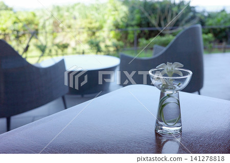 White flowers decorating a glass on a terrace table White flowers decorating a glass on a terrace table 141278818