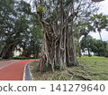 A scene I saw at KLCC Park in Malaysia 141279640