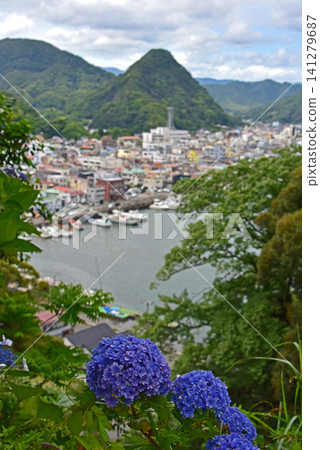 Shizuoka Prefecture, Shimoda Hydrangea Park, Hydrangeas and Shimoda Port Shizuoka Prefecture, Shimoda Hydrangea Park, Hydrangeas and Shimoda Port 141279687