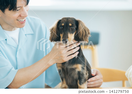 Family life with a dog: A dachshund spending time with its owner. Family life with a dog: A dachshund spending time with its owner. 141279750