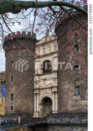 NAPLES, ITALY - NOVEMBER 05, 2018 - The medieval castle of Maschio Angioino or Castel Nuovo New Castle and the silk tree in bloom, Napoli NAPLES, ITALY - NOVEMBER 05, 2018 - The medieval castle of Maschio Angioino or Castel Nuovo New Castle and the silk tree in bloom, Napoli 141279889