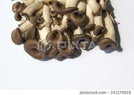 It is an oyster mushroom placed on a white background. It is an oyster mushroom placed on a white background. 141279928