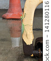 Green praying mantis clinging to weathered yellow pole with rusty metal below Green praying mantis clinging to weathered yellow pole with rusty metal below 141280116