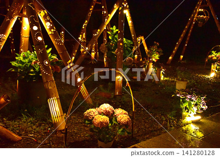 靜岡縣下田繡球花公園:繡球花燈光秀 靜岡縣下田繡球花公園:繡球花燈光秀 141280128