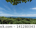 From a high vantage point with tree branches and leaves above, you can see the forest in the foreground, the clearly defined horizon of the southern sea, and the distant land. 141280343