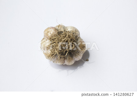 Garlic on a white background. Garlic on a white background. 141280627