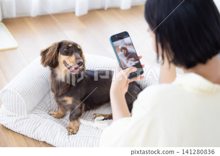 一名女子用智慧型手機為她的狗拍照 一名女子用智慧型手機為她的狗拍照 141280836