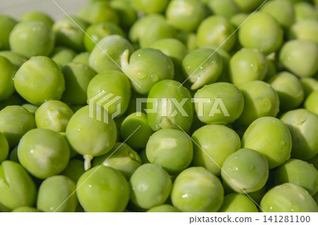 It is a close-up of fresh peas. It is a close-up of fresh peas. 141281100