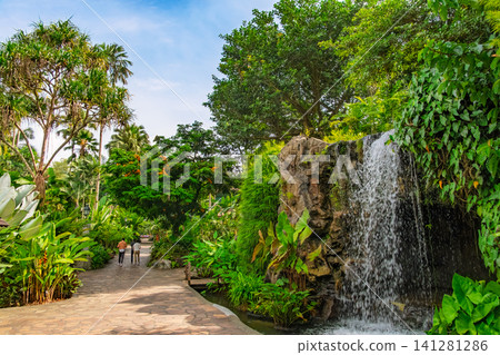 Singapore Botanic Gardens: A beautiful artificial waterfall and cobblestone walkway in the lush Ginger Garden. Singapore Botanic Gardens: A beautiful artificial waterfall and cobblestone walkway in the lush Ginger Garden. 141281286
