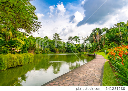 Singapore Botanic Gardens: Beautiful scenery along the lush Symphony Lake and cobblestone walkways. Singapore Botanic Gardens: Beautiful scenery along the lush Symphony Lake and cobblestone walkways. 141281288
