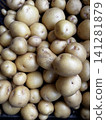 Harvested potatoes Harvested potatoes 141281879