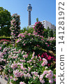 Spring roses at Yamashita Park and Marine Tower 141281972