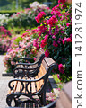 Springtime at Yamashita Park: Rose Bench 141281974