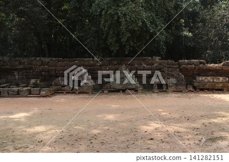 Ta Prohm Ta Prohm 141282151