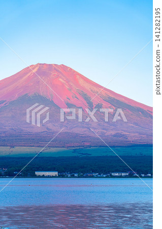 【富士山圖片】從山中湖眺望,沐浴在晨光中的富士山【山梨縣】 【富士山圖片】從山中湖眺望,沐浴在晨光中的富士山【山梨縣】 141282195