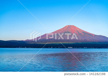 [Mt. Fuji Image] Mt. Fuji bathed in the morning glow as seen from Lake Yamanaka [Yamanashi Prefecture] 141282198