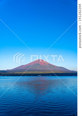 [Mt. Fuji Image] Mt. Fuji bathed in the morning glow as seen from Lake Yamanaka [Yamanashi Prefecture] 141282204