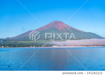 【富士山圖片】從山中湖眺望，沐浴在晨曦中的紅色富士山和雲海【山梨縣】 141282222