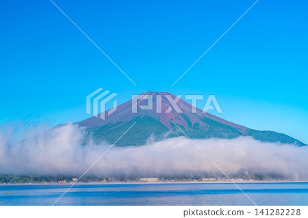 [Mt. Fuji Image] The red Mt. Fuji and sea of clouds bathed in the morning glow as seen from Lake Yamanaka [Yamanashi Prefecture] 141282228