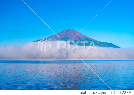 [Mt. Fuji Image] The red Mt. Fuji and sea of clouds bathed in the morning glow as seen from Lake Yamanaka [Yamanashi Prefecture] 141282229