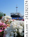 White roses in spring and the Hikawa Maru 141282374