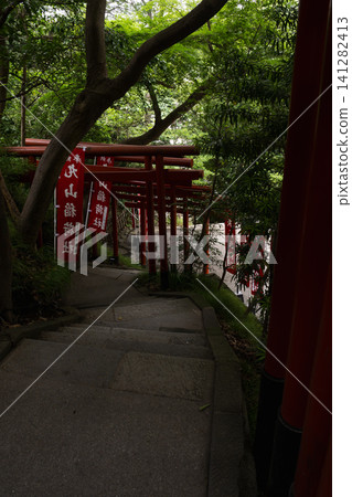 鶴岡八幡宮圓山稻荷神社的紅色鳥居 鶴岡八幡宮圓山稻荷神社的紅色鳥居 141282413