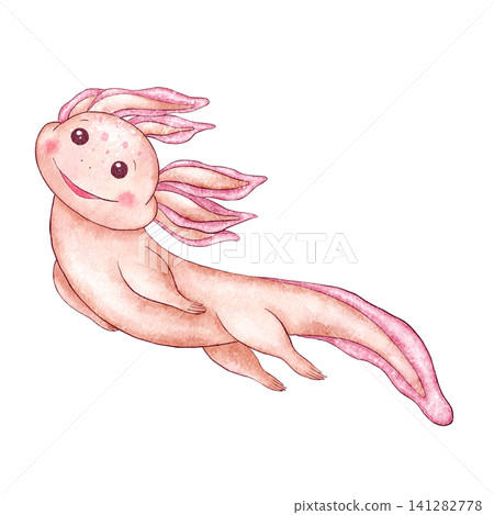 Watercolor Cute axolotl swimming gracefully with dreamy smile. Pink hand painted romantic and adorable aquatic character clipart isolated on white. Illustration for stickers, kids decor, stationery. Watercolor Cute axolotl swimming gracefully with dreamy smile. Pink hand painted romantic and adorable aquatic character clipart isolated on white. Illustration for stickers, kids decor, stationery. 141282778