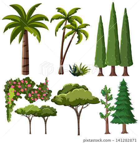 Collection of Tropical and Evergreen Tree Vector Illustrations Isolated on White Collection of Tropical and Evergreen Tree Vector Illustrations Isolated on White 141282871