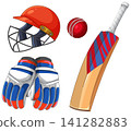Professional Cricket Equipment Set with Bat Helmet Ball and Gloves 141282883