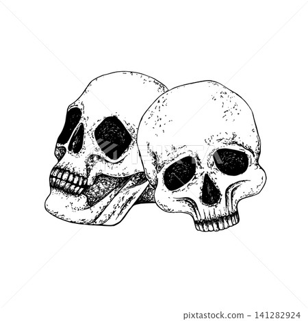 Vector graphic illustration whole human skull and anatomical profile half skull. With white background. Engraving style or medical anatomy concept, for Halloween design, textile and fabric. Vector graphic illustration whole human skull and anatomical profile half skull. With white background. Engraving style or medical anatomy concept, for Halloween design, textile and fabric. 141282924