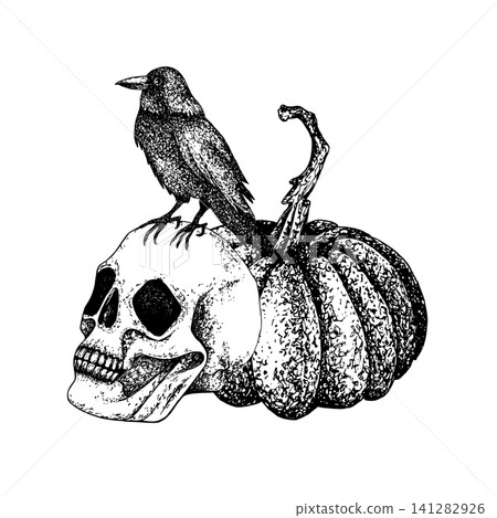 Mystic Halloween vector illustration of human skull, black raven perched on top, pumpkin. Gothic graphic, engraved style isolated with white background. For horror themes, prints, textile, cards. Mystic Halloween vector illustration of human skull, black raven perched on top, pumpkin. Gothic graphic, engraved style isolated with white background. For horror themes, prints, textile, cards. 141282926