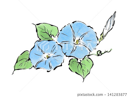 A picture postcard-style drawing of a blue morning glory, created with a brush pen and watercolors. 141283877