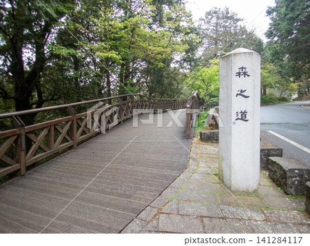 阿里山國家森林遊樂區及山區步道 141284117