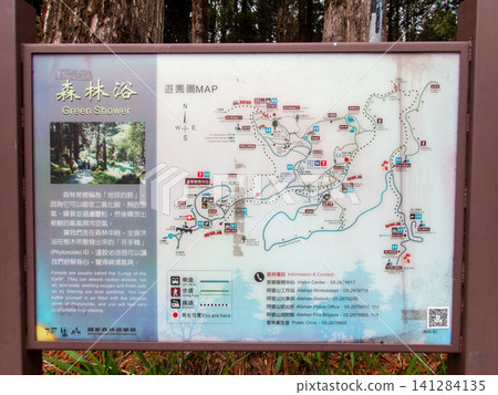 阿里山國家森林遊樂區及山區步道 阿里山國家森林遊樂區及山區步道 141284135