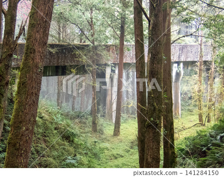 阿里山國家森林遊樂區及山區步道 141284150
