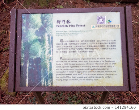 阿里山國家森林遊樂區及山區步道 阿里山國家森林遊樂區及山區步道 141284160