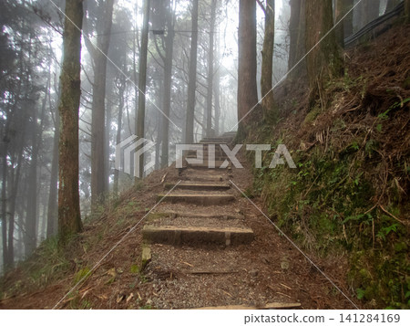 阿里山國家森林遊樂區及山區步道 141284169