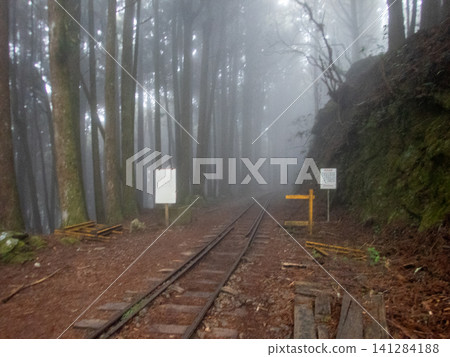 阿里山國家森林遊樂區及山區步道 141284188
